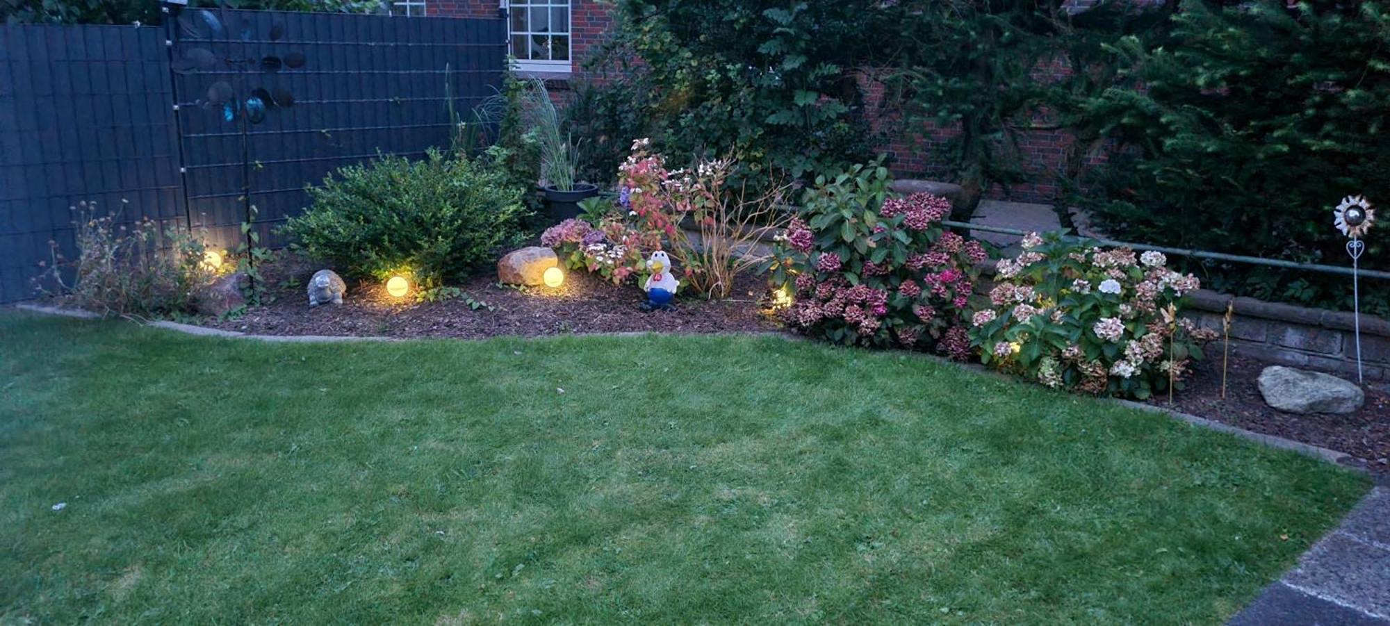 Lichtblick Schillig